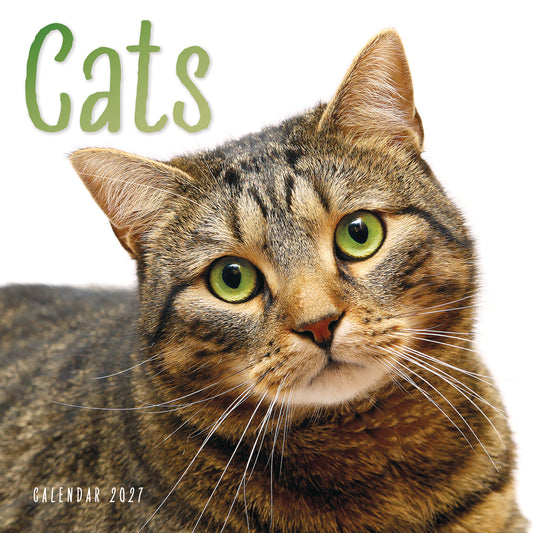 Cats Wall Calendar 2027