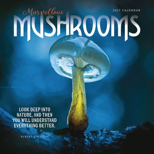 Marvellous Mushrooms Wall Calendar 2027