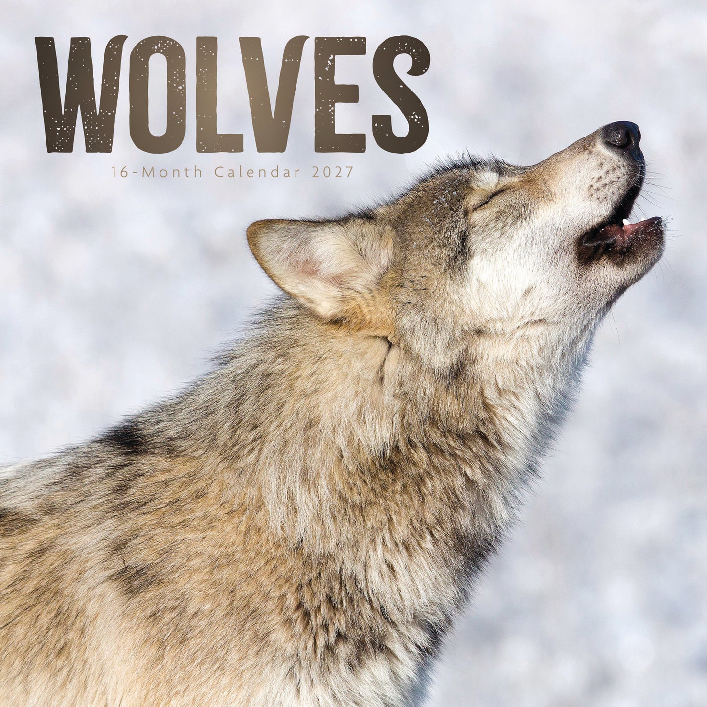 Wolves Wall Calendar 2027