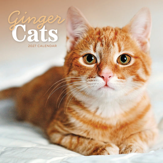 Ginger Cats Wall Calendar 2027