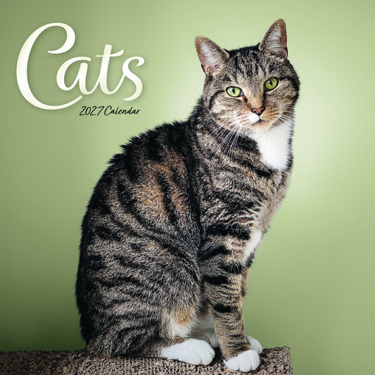 Cats Wiro Wall Calendar 2027