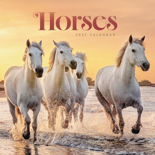 Horses Wiro Wall Calendar 2027