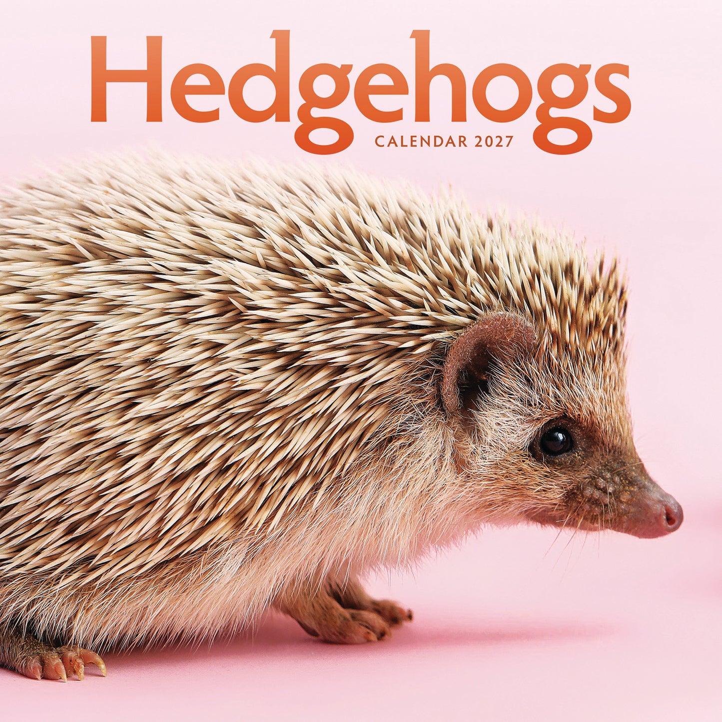 Hedgehogs Wall Calendar 2027