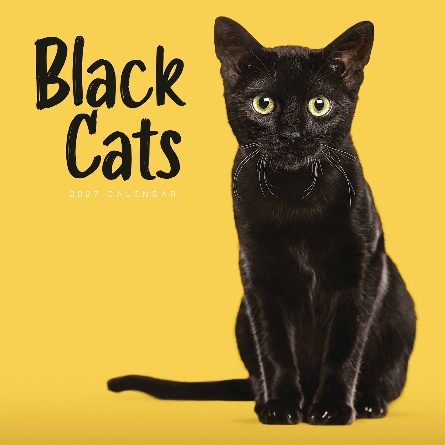 Black Cats Wall Calendar 2027