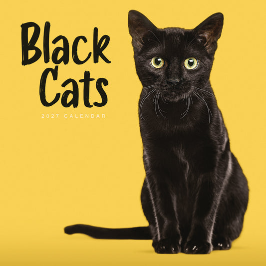 Black Cats Wall Calendar 2027