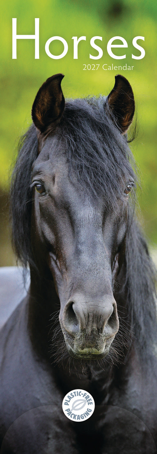 Horses Slim Calendar 2027