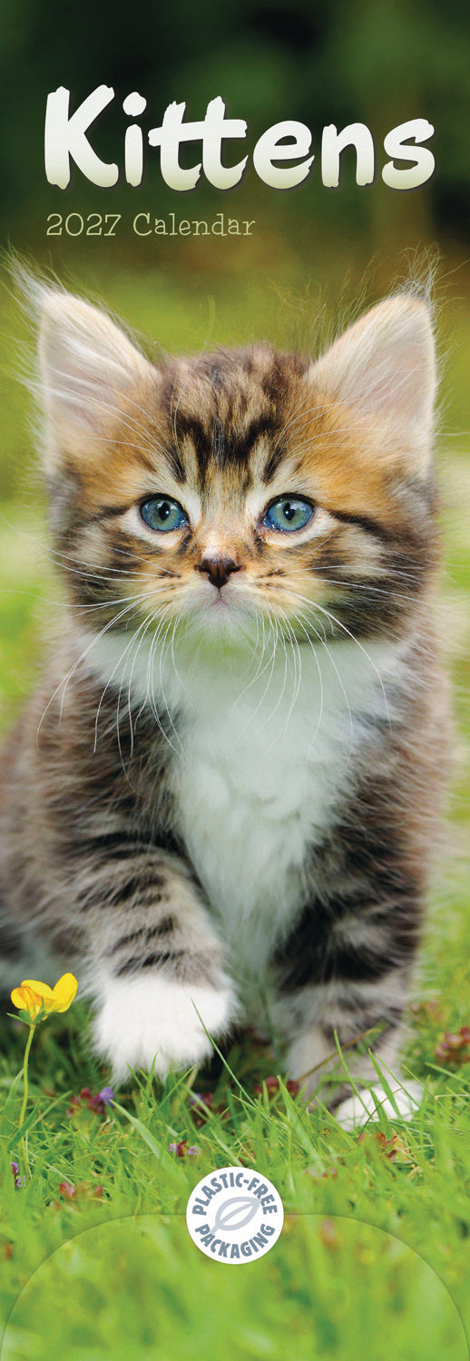 Kittens Slim Calendar 2027