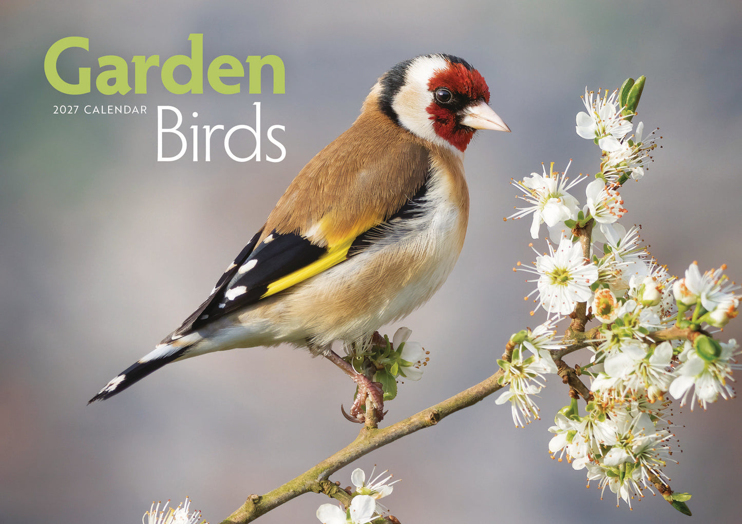 Garden Birds A4 Calendar 2027