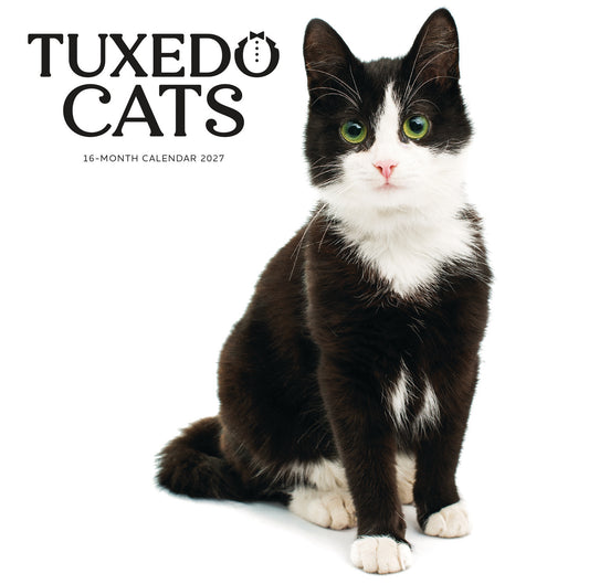Tuxedo Cats Wall Calendar 2027