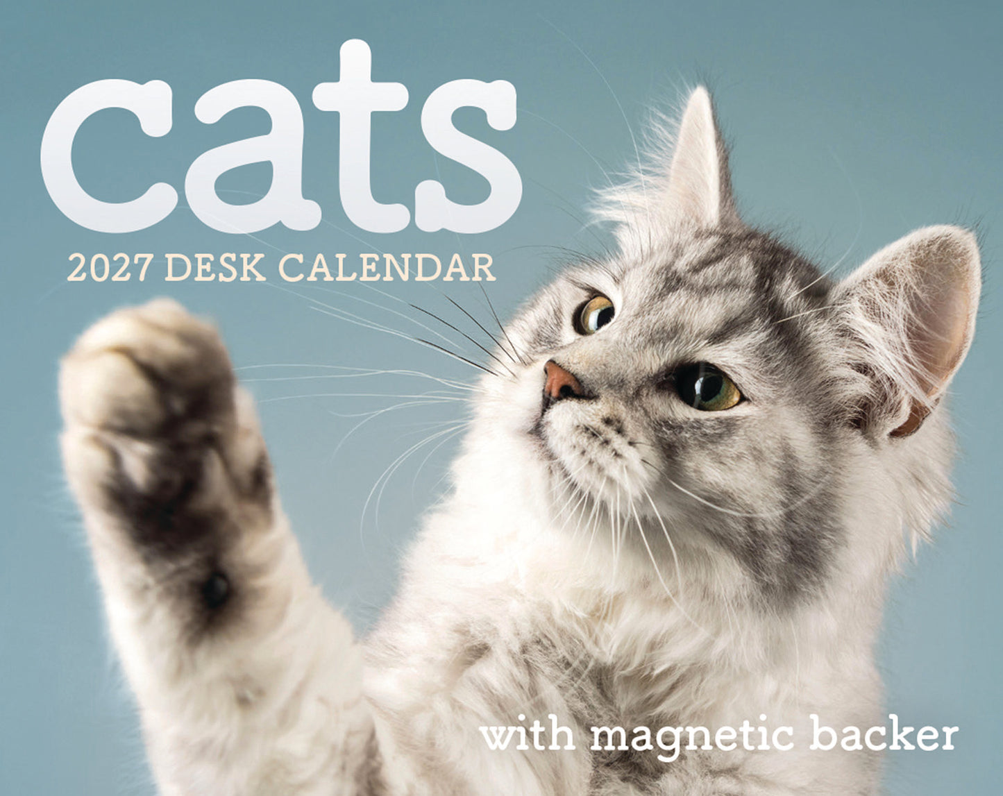 Cats Mini Box Calendar 2027