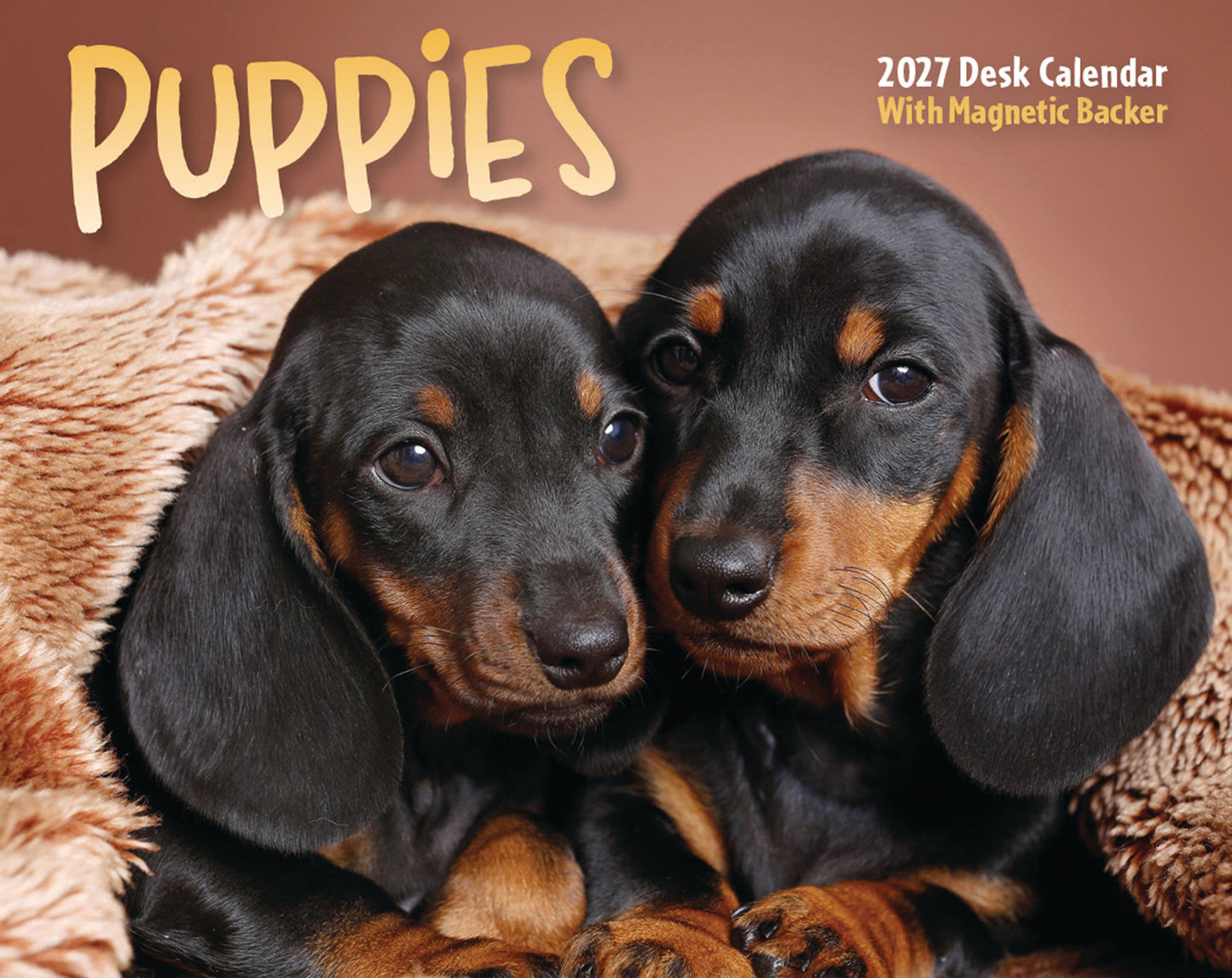 Puppies Mini Box Calendar 2027