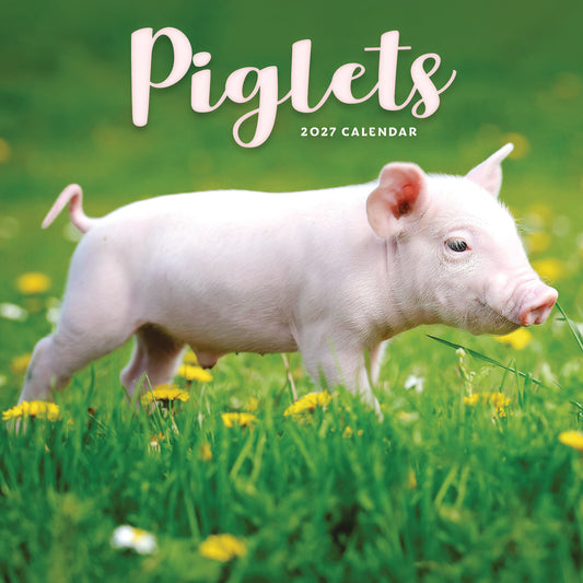 Piglets Mini Calendar 2027