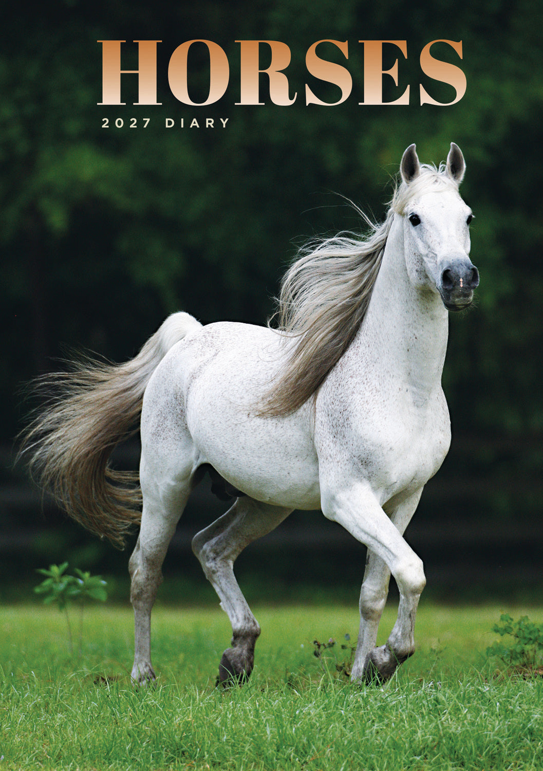 Horses A5 Diary 2027