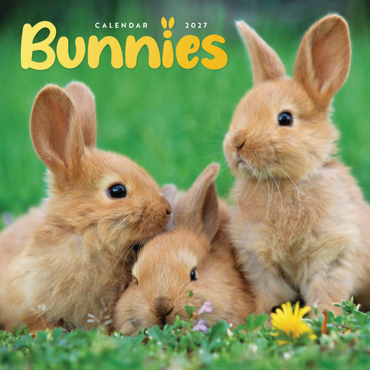 Bunnies Mini Calendar 2027
