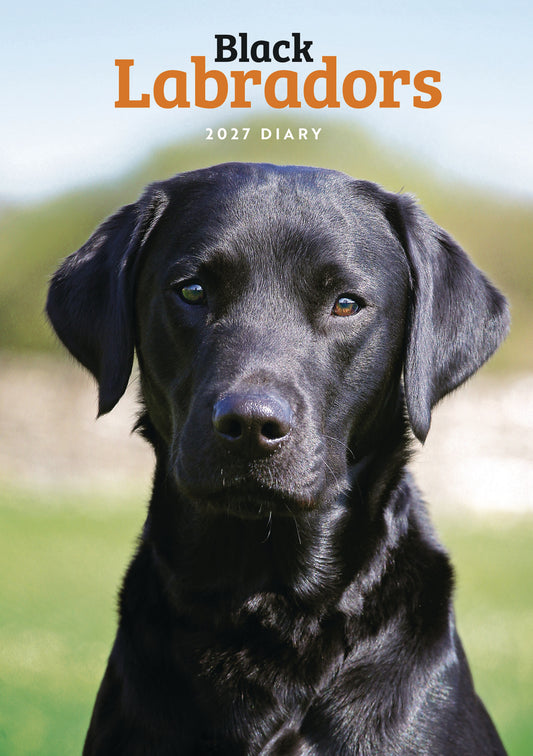 Labrador Retrievers Black A5 Diary 2027