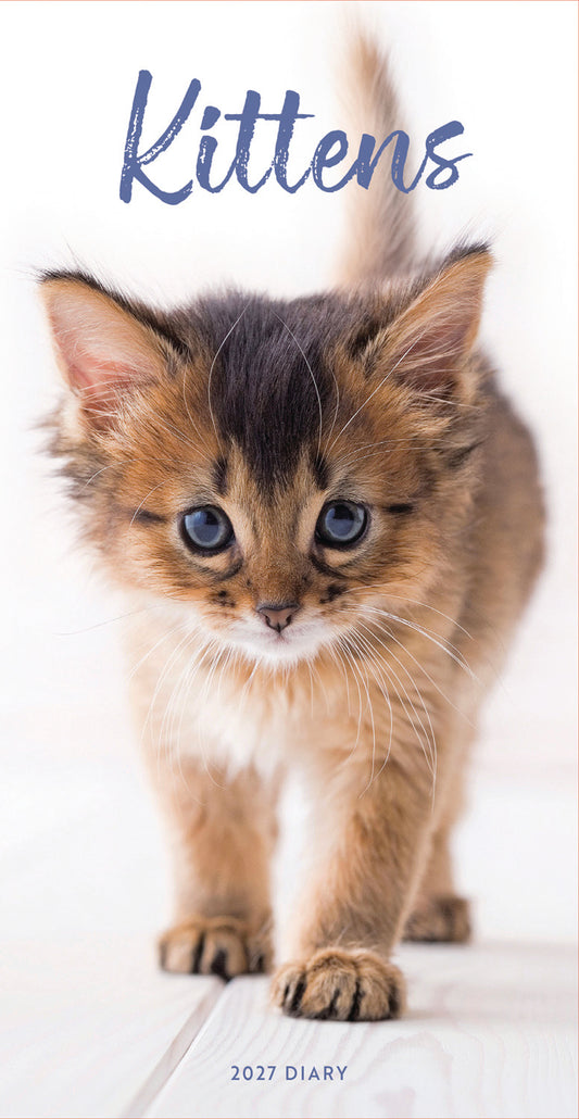 Kittens Slim Diary 2027
