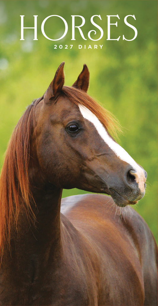 Horses Slim Diary 2027