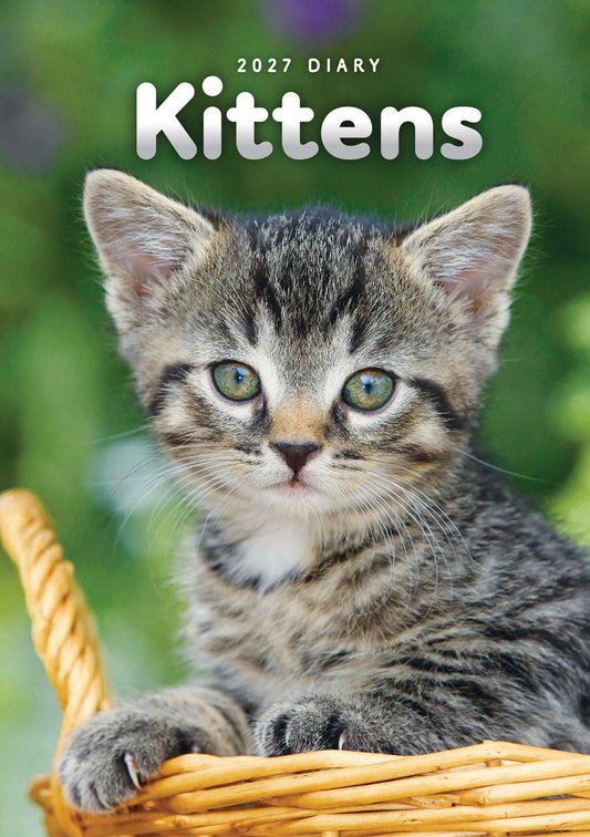 Kittens A5 Diary 2027