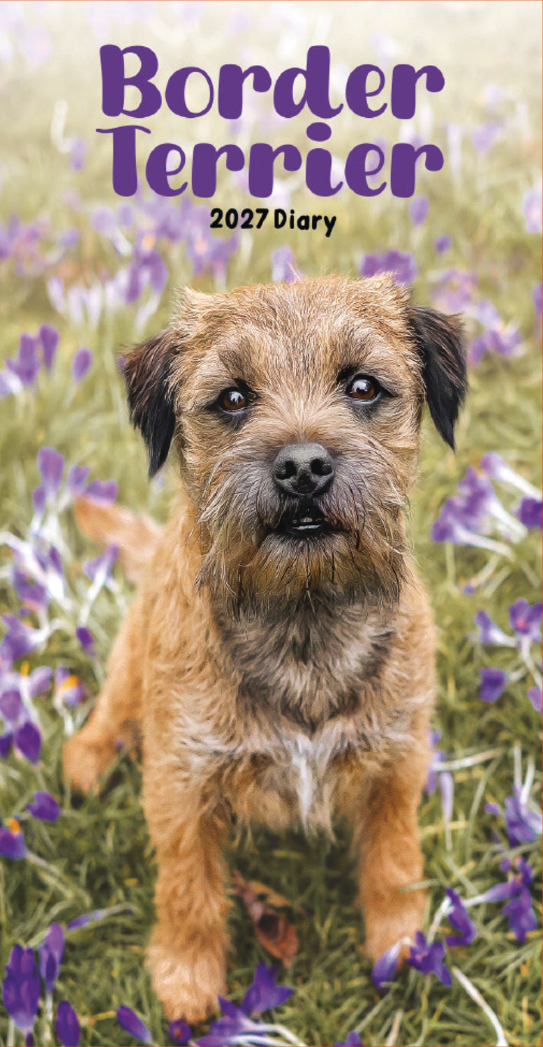 Border Terriers Slim Diary 2027