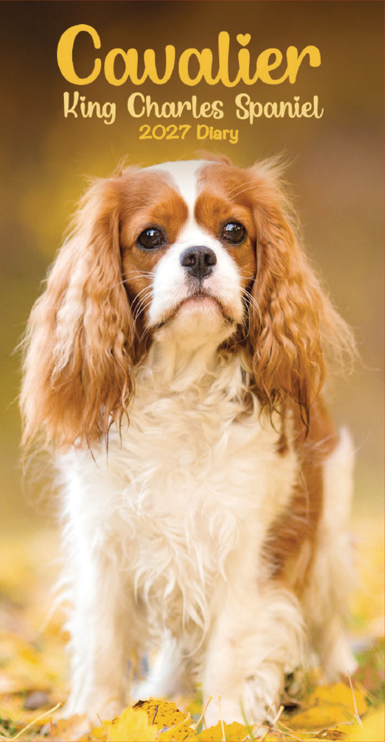 Cavalier King Charles Spaniels Slim Diary 2027