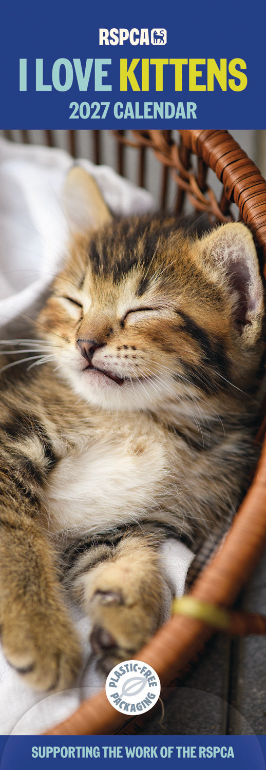 Kittens, I Love RSPCA Slim Calendar 2027