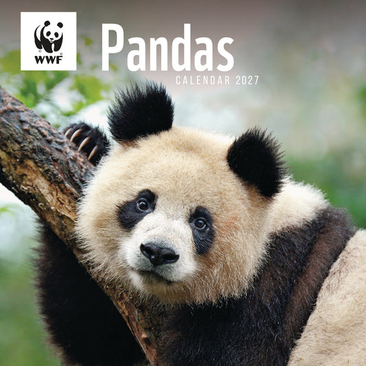 Pandas WWF Wall Calendar 2027