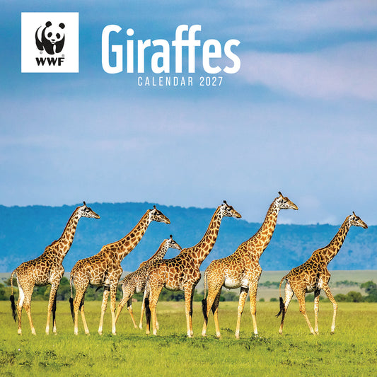 Giraffes WWF Wall Calendar 2027