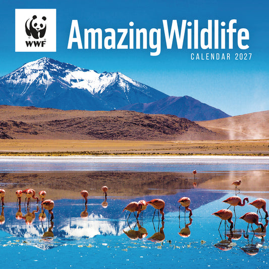 Amazing Wildlife WWF Wall Calendar 2027