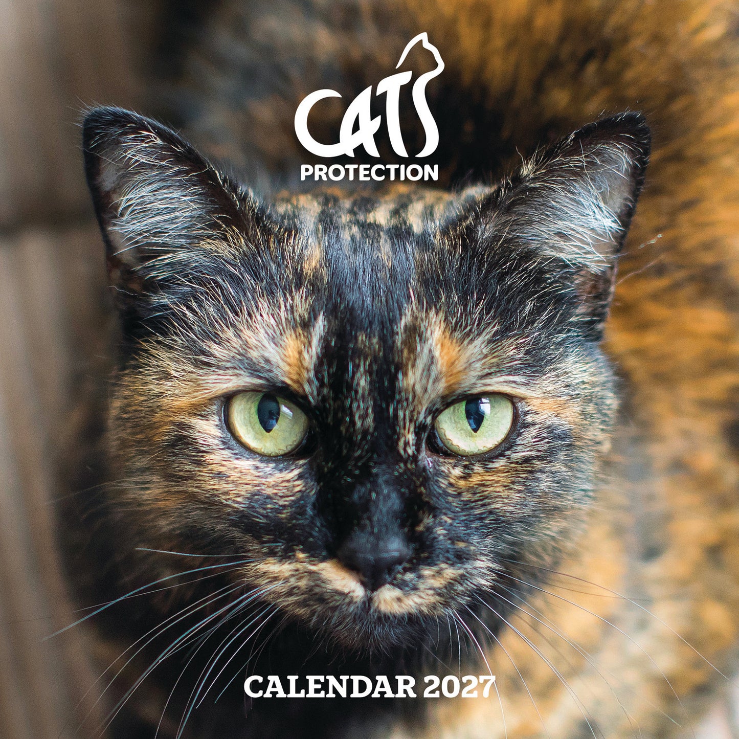 Cats Protection Wall Calendar 2027