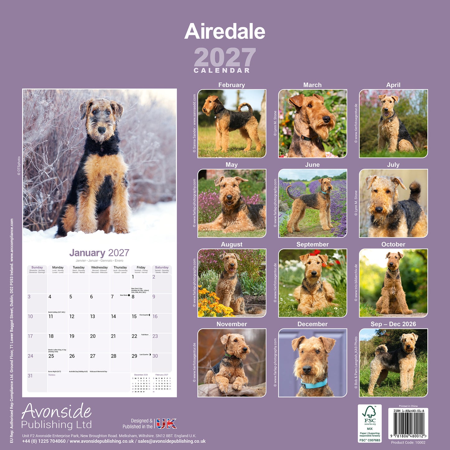 Airedale Terrier Wall Calendar 2027