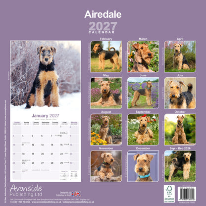 Airedale Terrier Wall Calendar 2027
