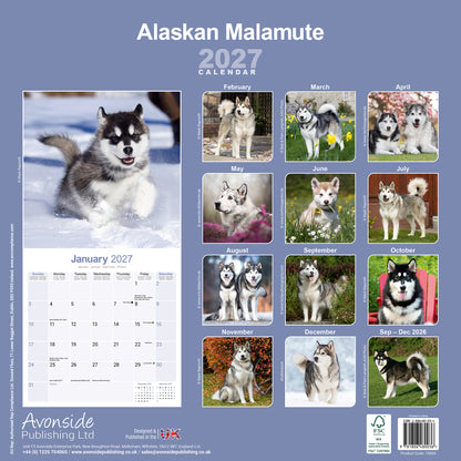 Alaskan Malamute Wall Calendar 2027