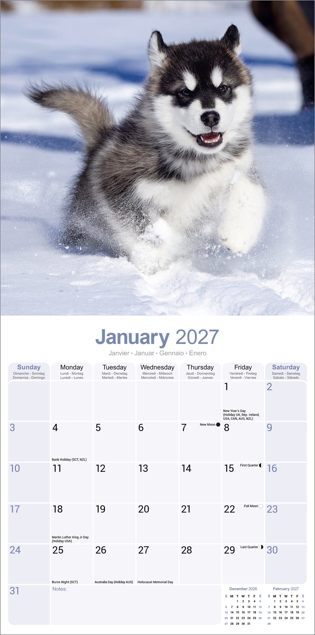 Alaskan Malamute Wall Calendar 2027