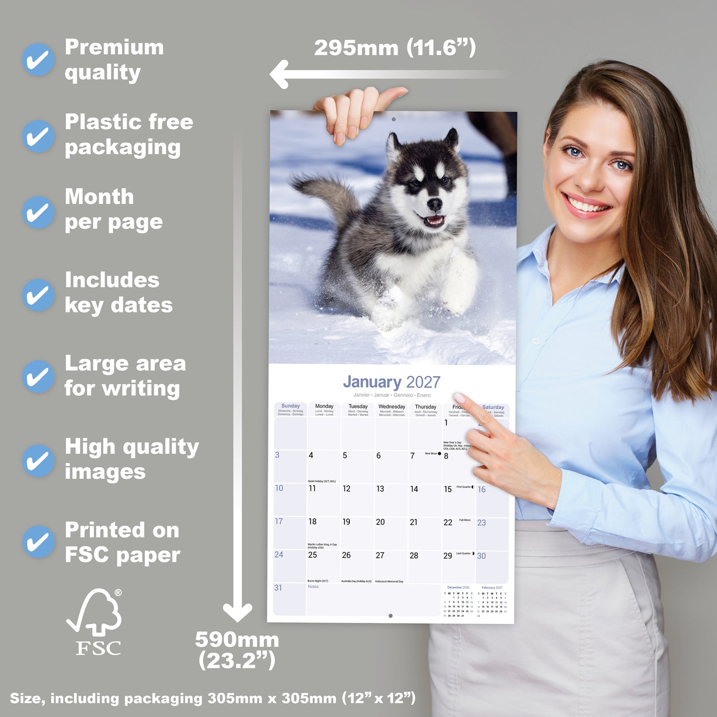 Alaskan Malamute Wall Calendar 2027