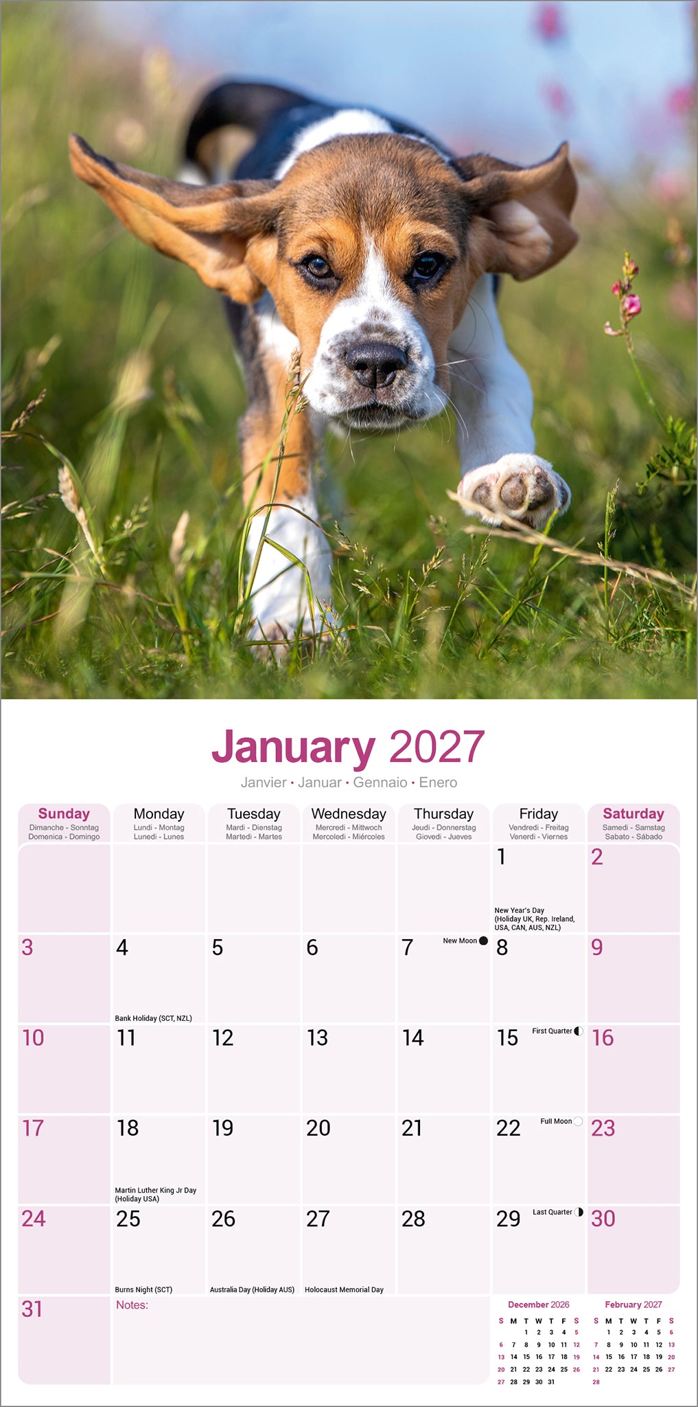 Beagle Wall Calendar 2027