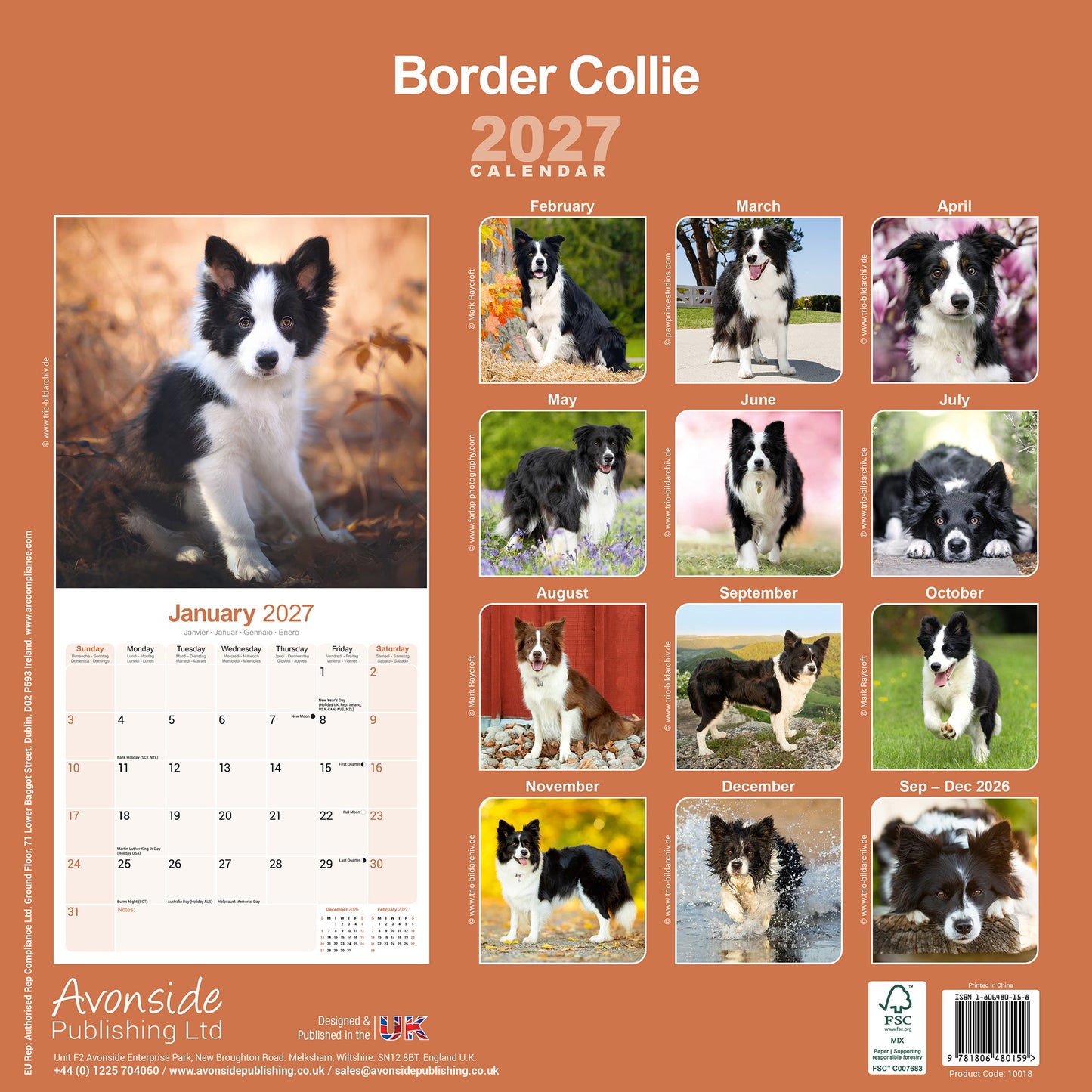 Border Collie Wall Calendar 2027