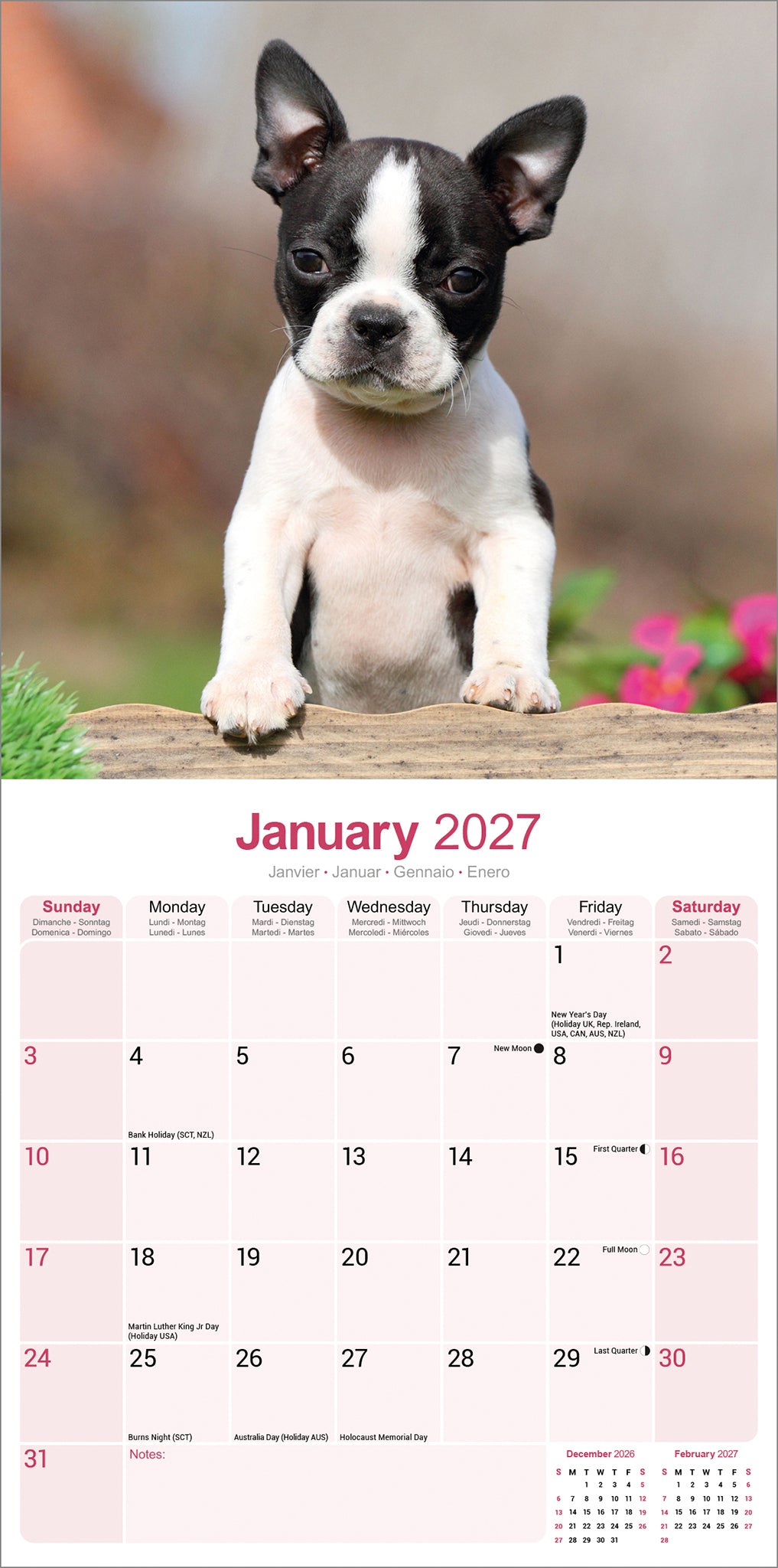 Boston Terrier Wall Calendar 2027