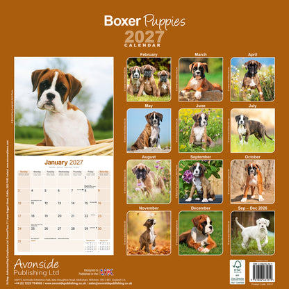Boxer Puppies Wall Calendar 2027