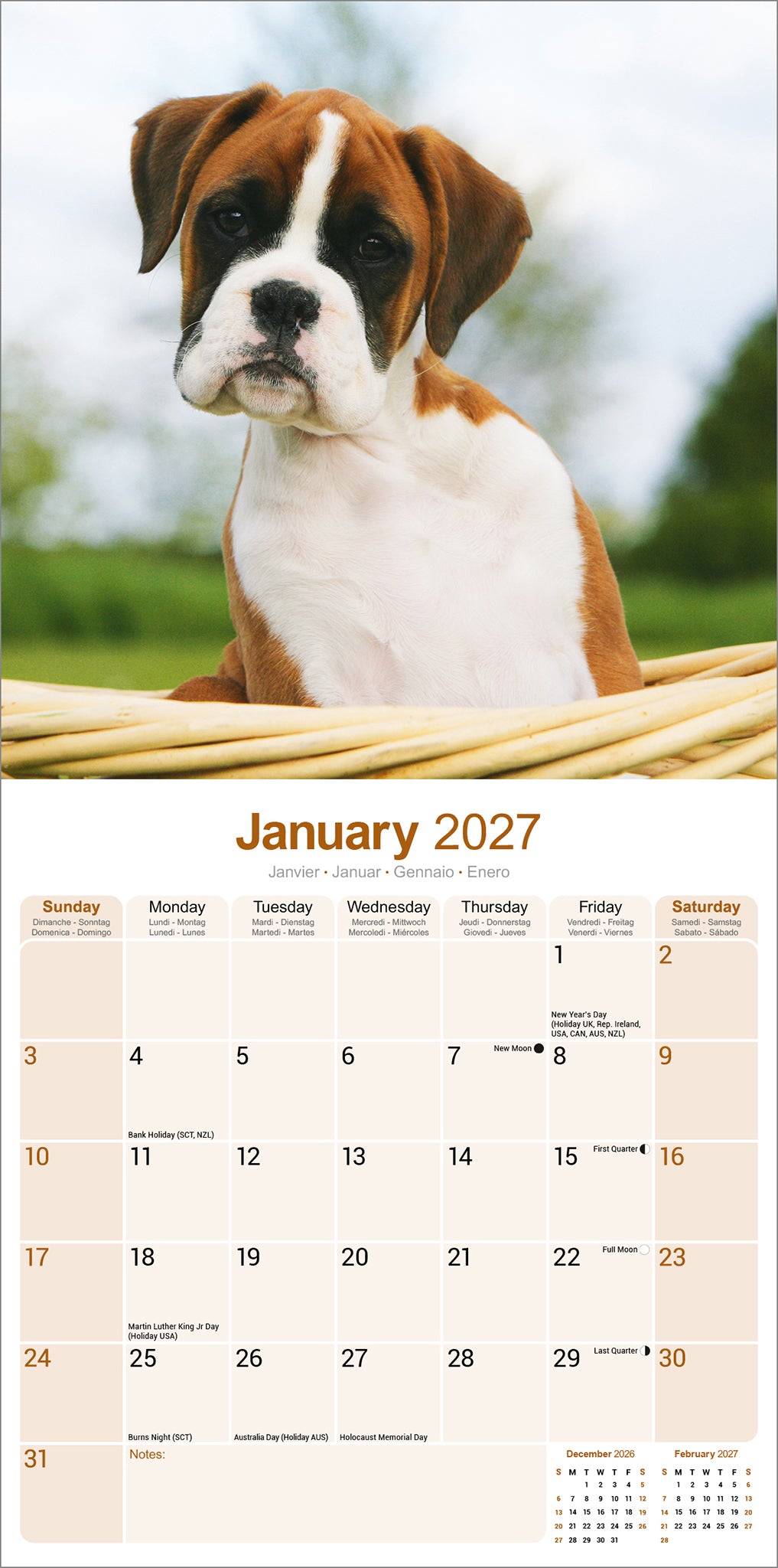 Boxer Puppies Wall Calendar 2027