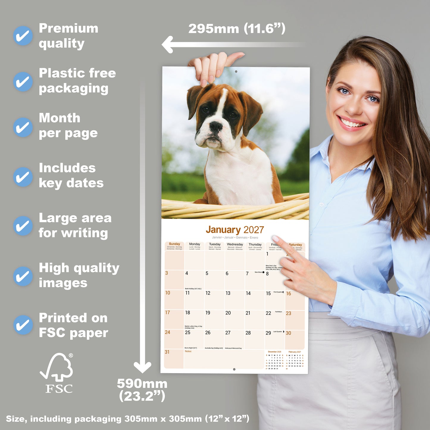 Boxer Puppies Wall Calendar 2027