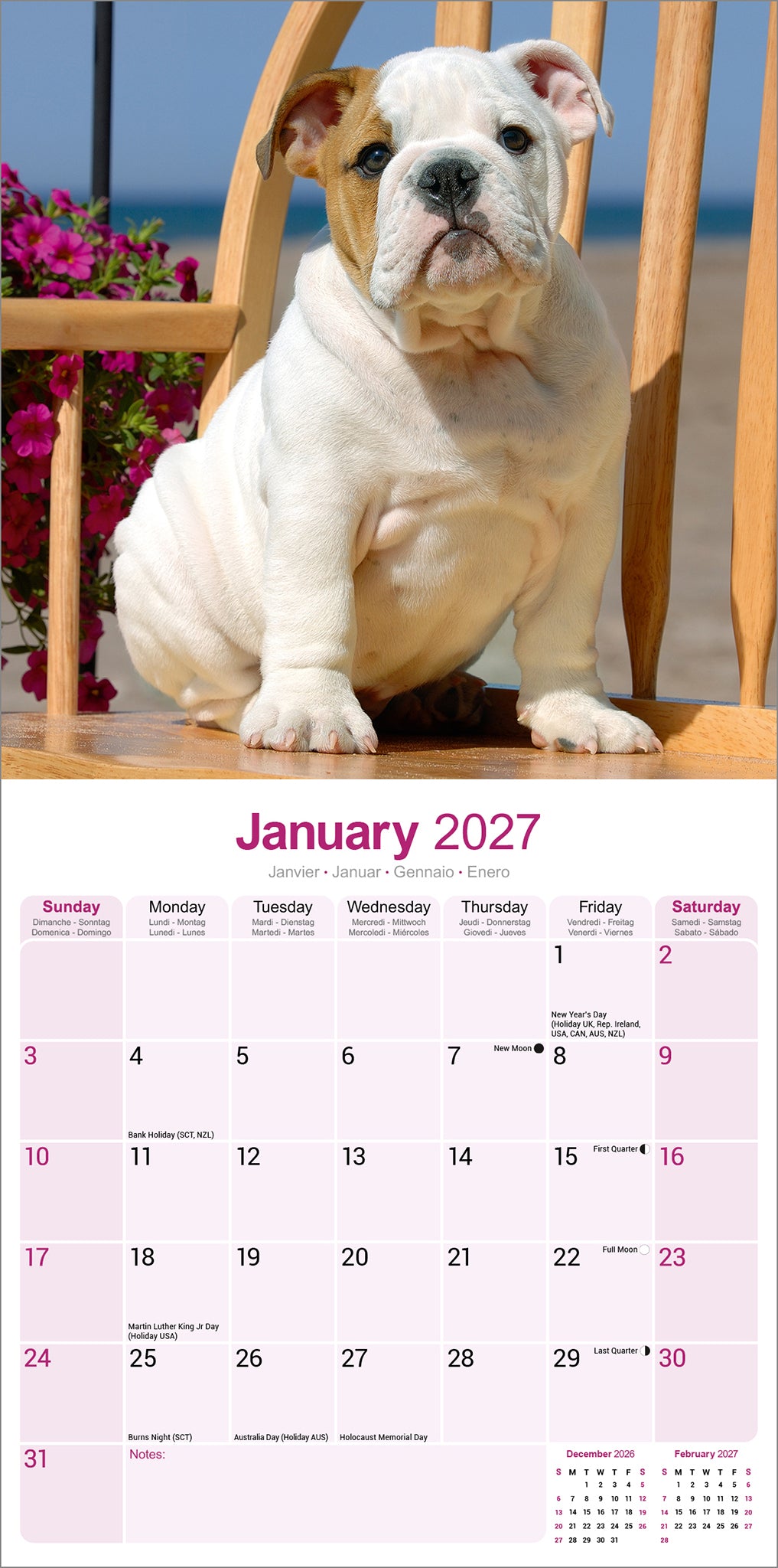 Bulldog Wall Calendar 2027
