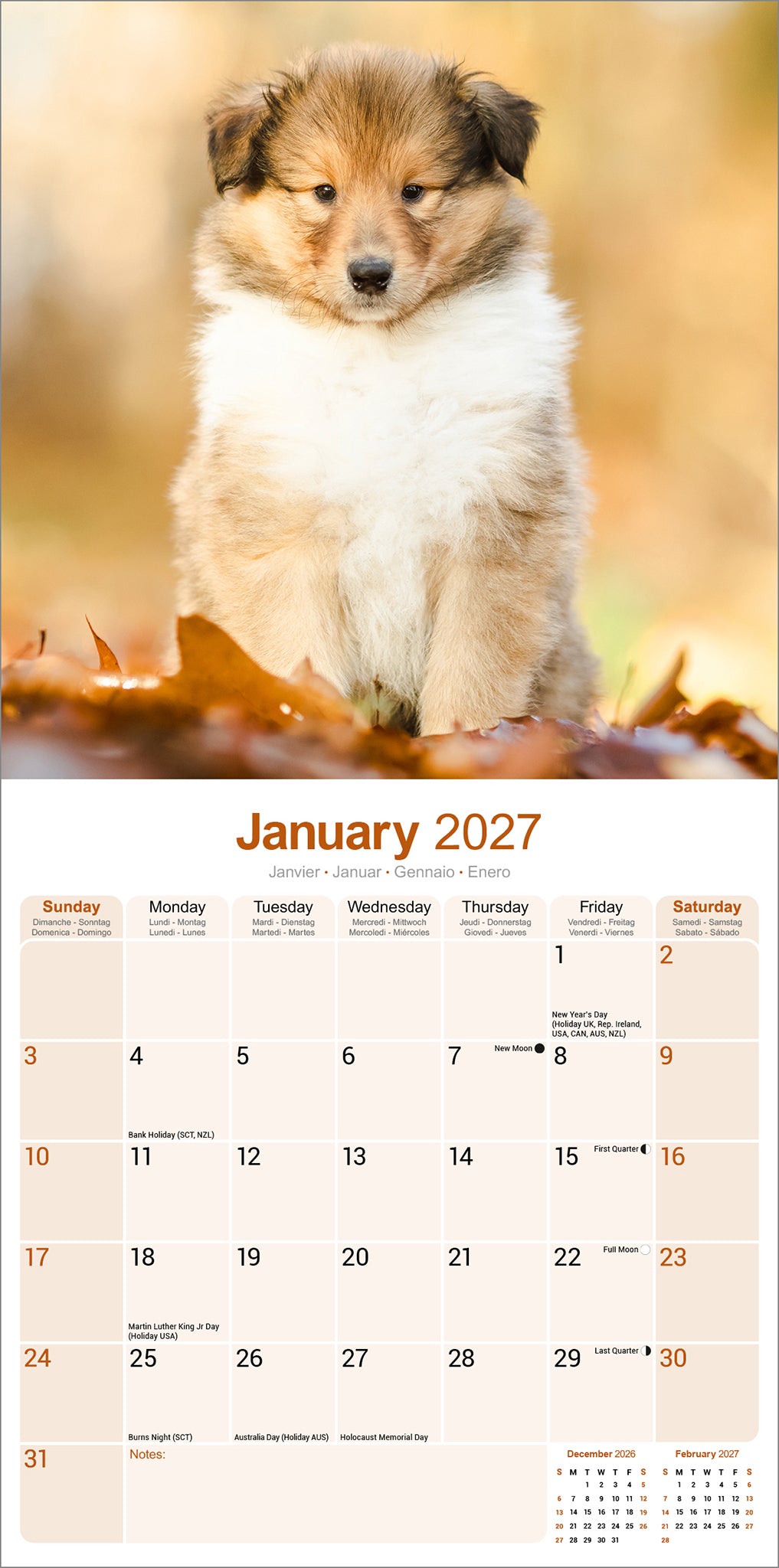Collie Wall Calendar 2027