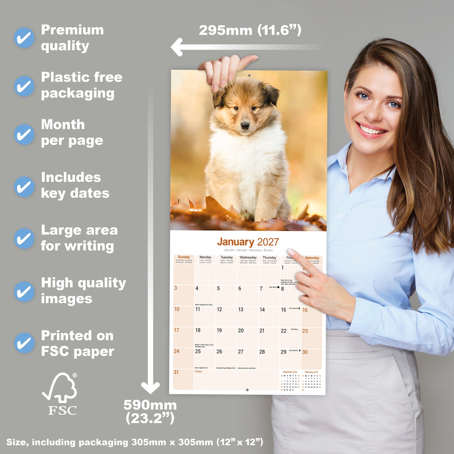 Collie Wall Calendar 2027