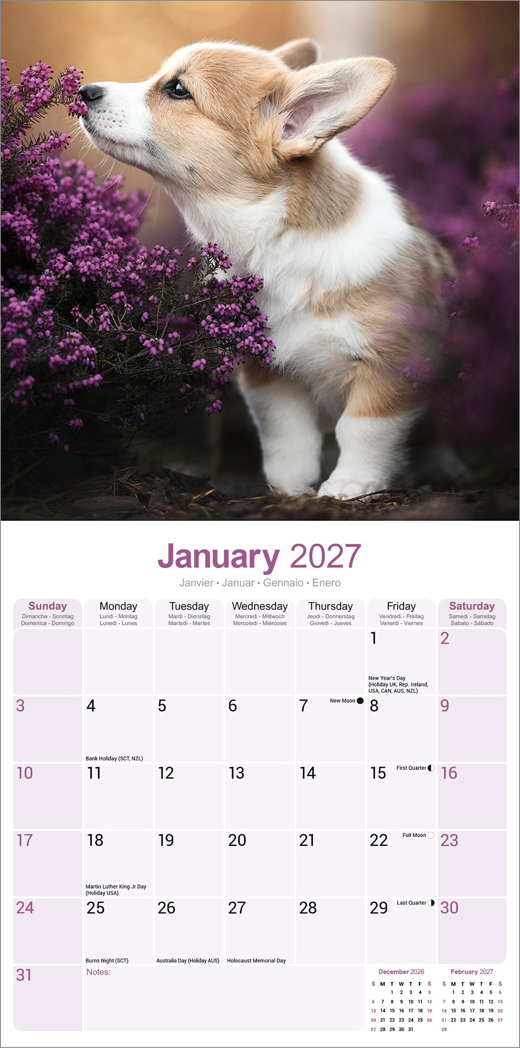 Corgi Wall Calendar 2027