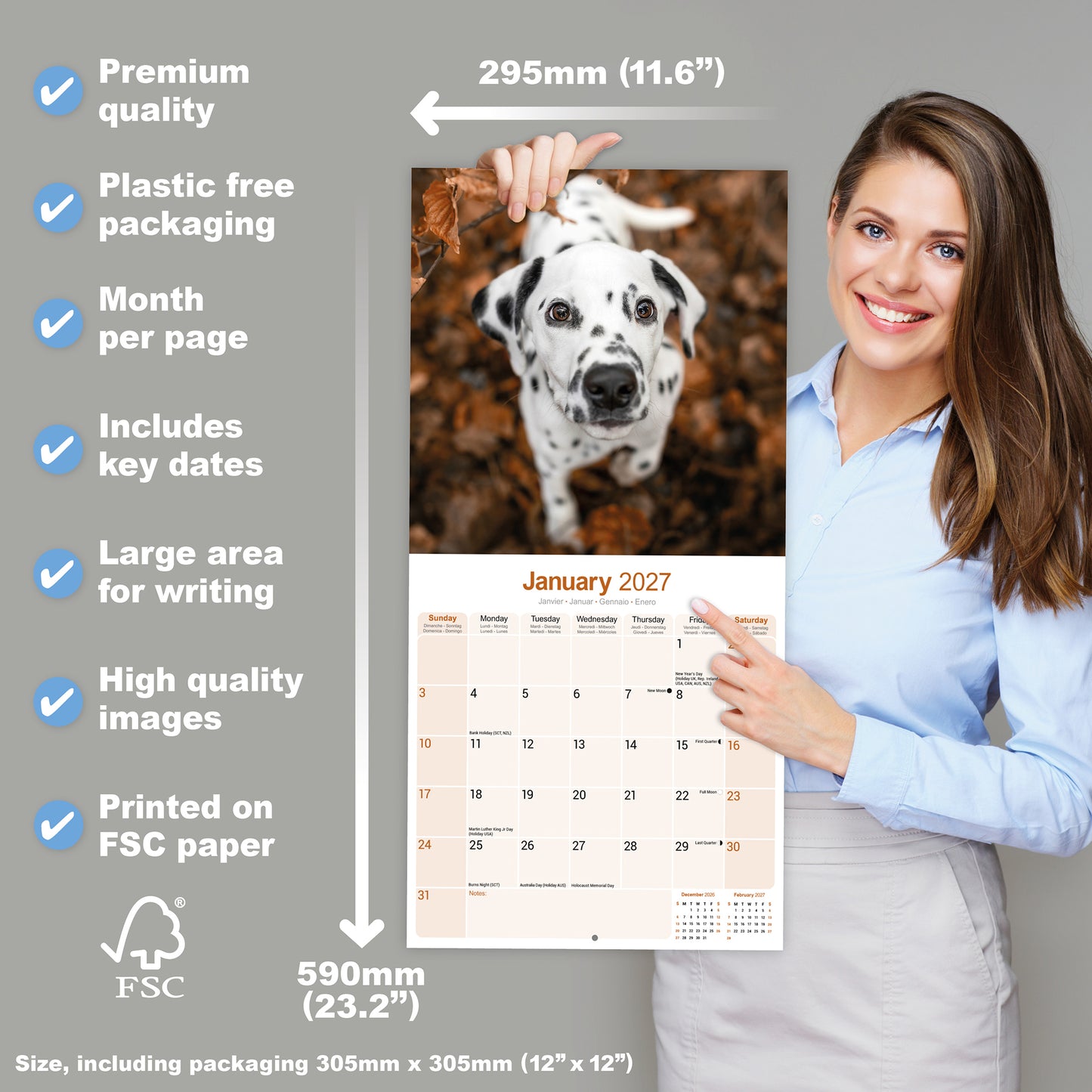 Dalmatian Wall Calendar 2027