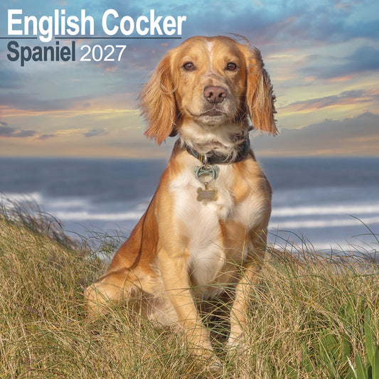 English Cocker Spaniel Wall Calendar 2027