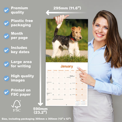 Fox Terrier, Wirehaired Wall Calendar 2027