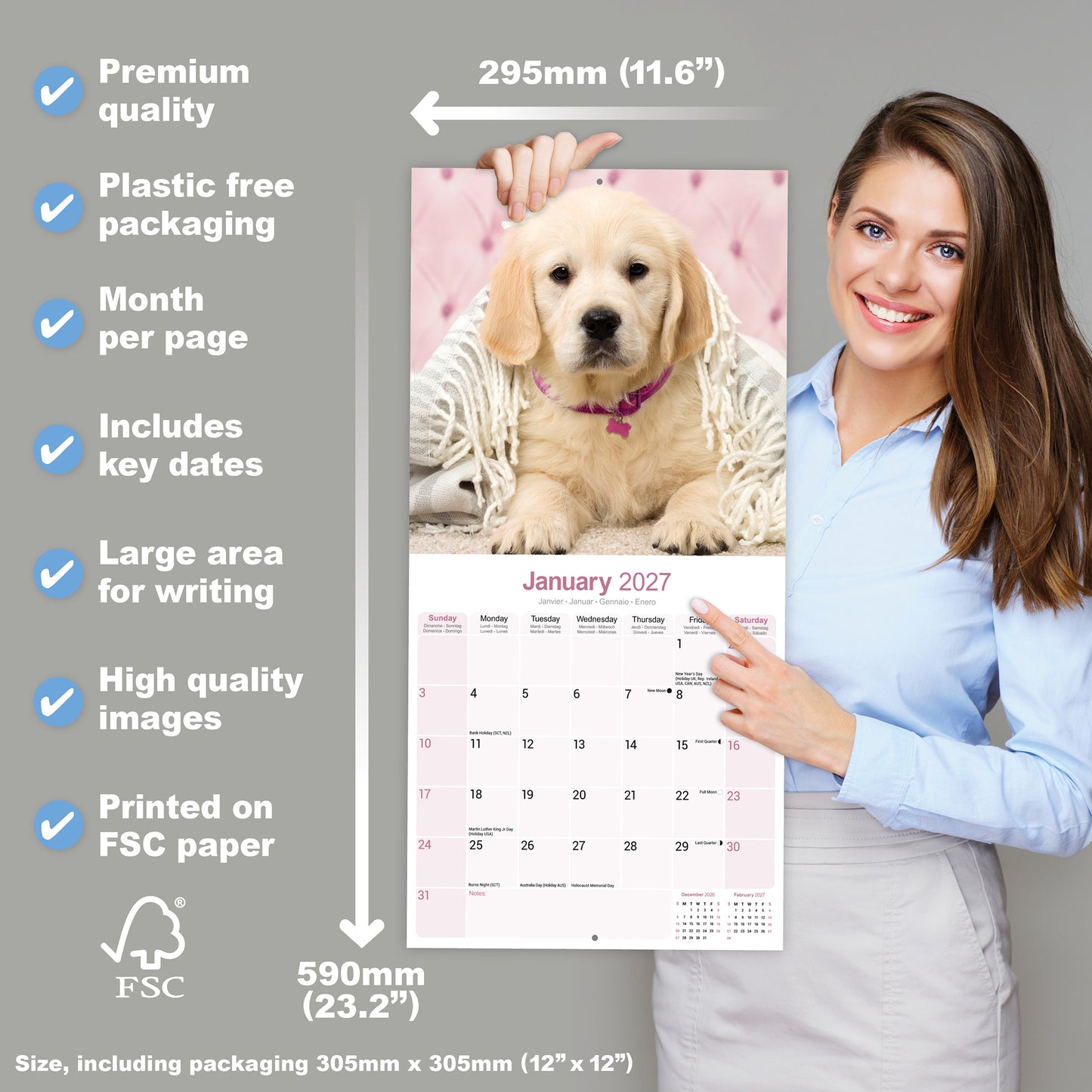 Golden Retriever Wall Calendar 2027