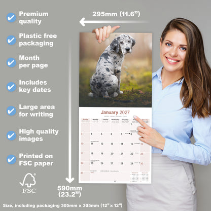 Great Dane Wall Calendar 2027