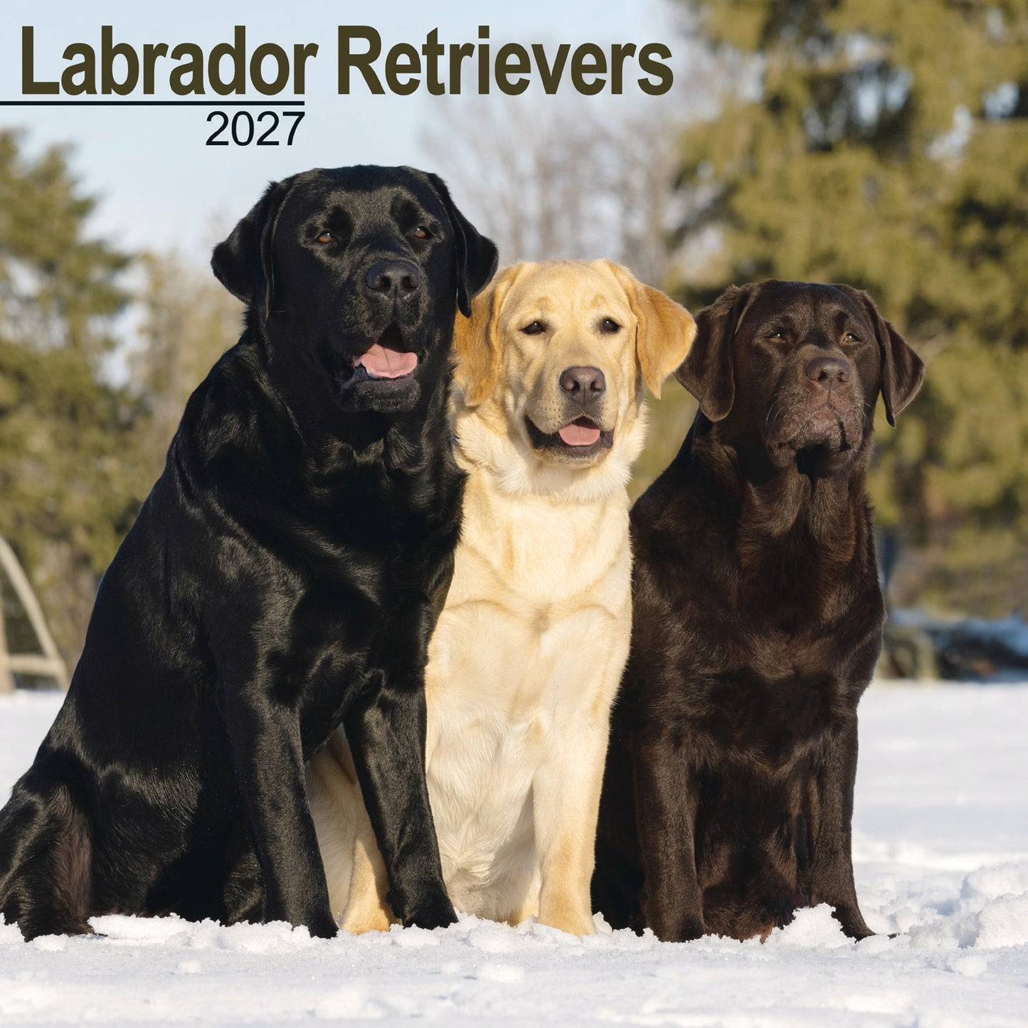 Labrador Retrievers Wall Calendar 2027